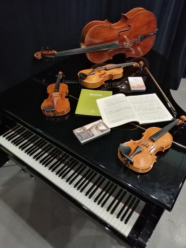 Aimez-vous Brahms ? / musique classique_Annecy