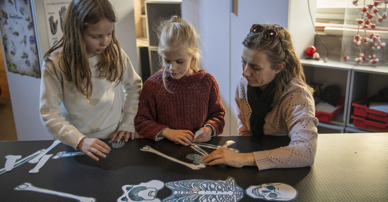 Atelier : Les secrets du corps humain