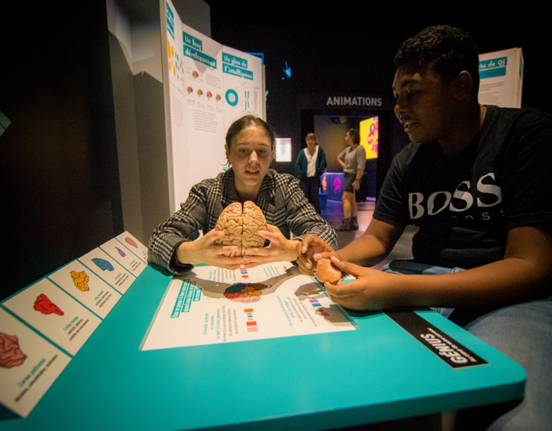 Intelligences humaines