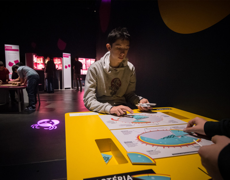 Intelligences cellullaires et végétales