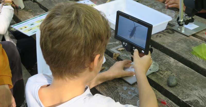 Atelier : Cherchez la ptite bête