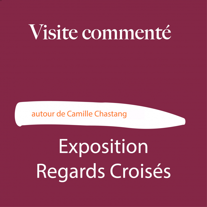 Expositions Regards Croisés / Camille Chastang_Annecy