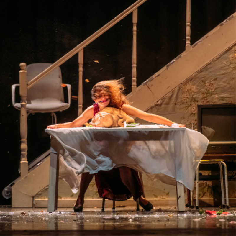 Théâtre des Collines -  