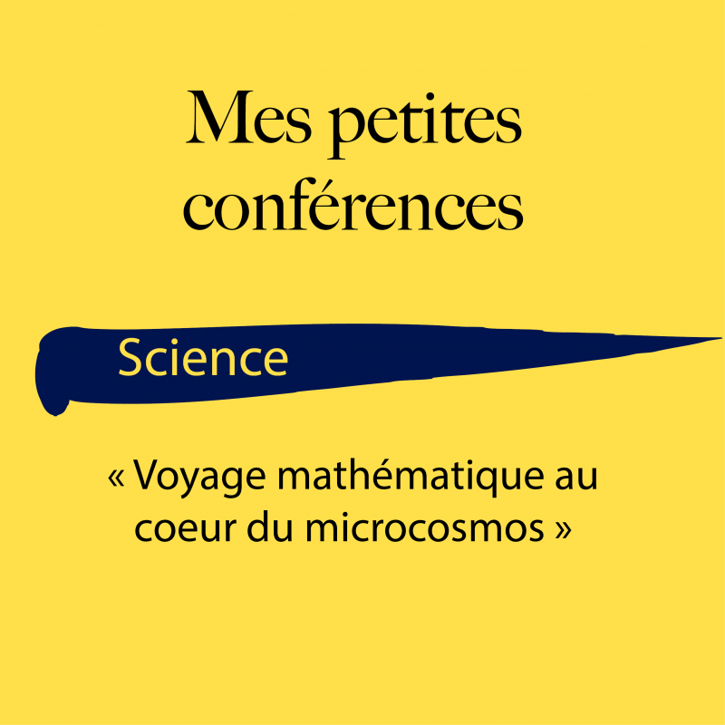 Mes petites conférences Science : Voyage mathématique au cœur du micro-cosmos_Annecy