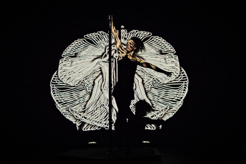 Eidolons_Annecy - © Nicolas Galliot Eidolons_Annecy